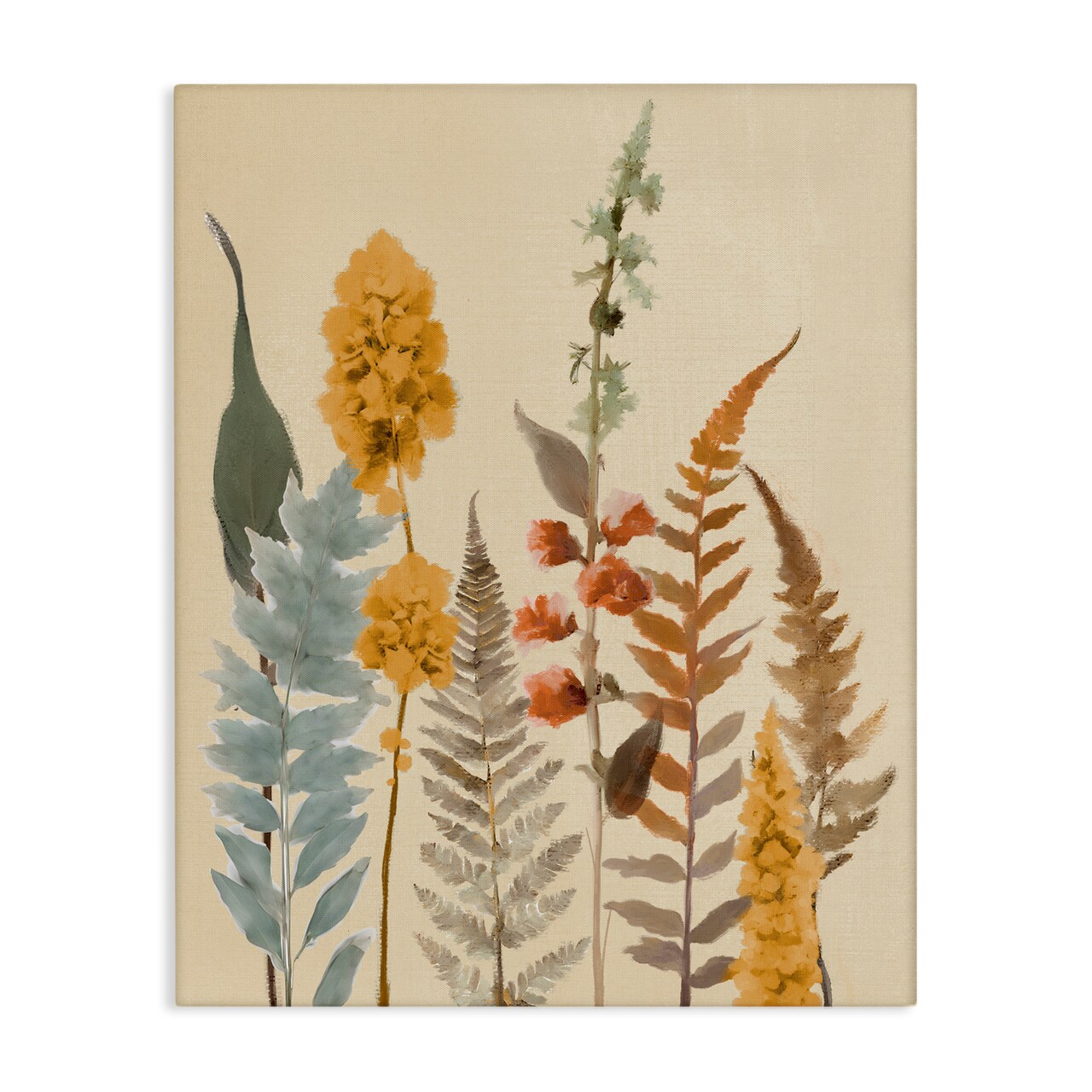 Stupell Industries Autumnal Wild Plants Canvas, design by Elizabeth Medley
